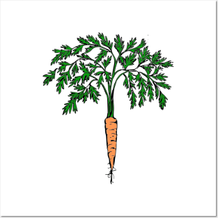 Carrot plant illustration Posters and Art